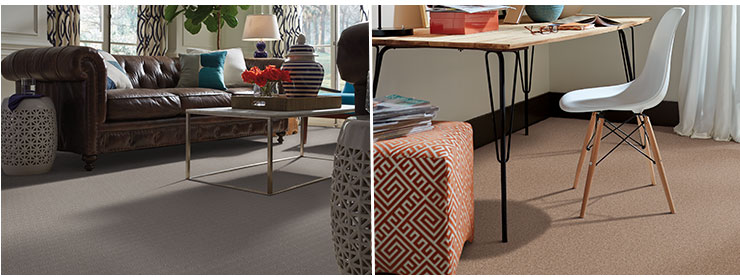 Tigressa H2O carpet living room office